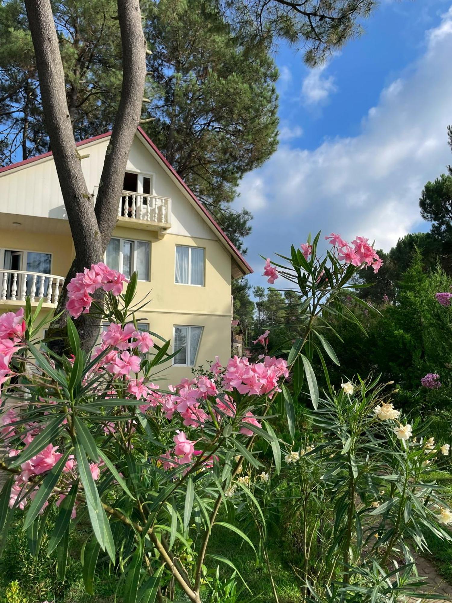 Kaprovani Villa 22 Shekhvetili Exterior photo